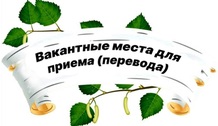 1734724055
