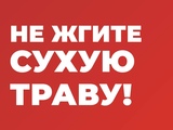 1742200792