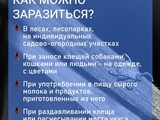 1747466288