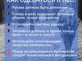 1747466288