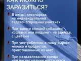 1747678288