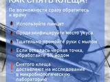1747678290