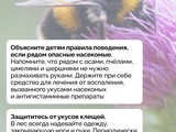 1751781754
