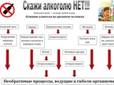 1754550523